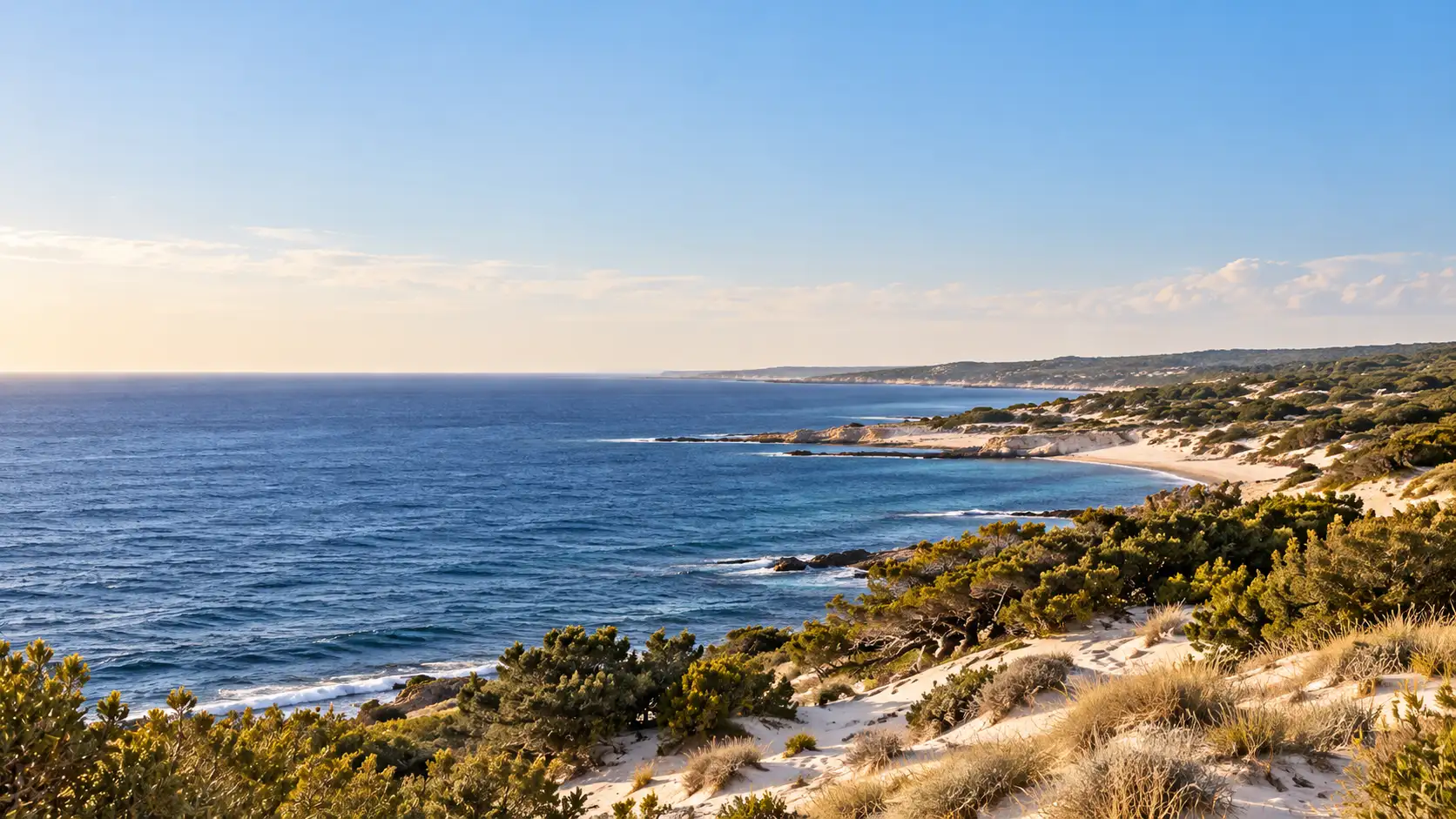 Flache Küste mit Dünen und Wacholder vor dunkelblauem Meer am frühen Morgen
