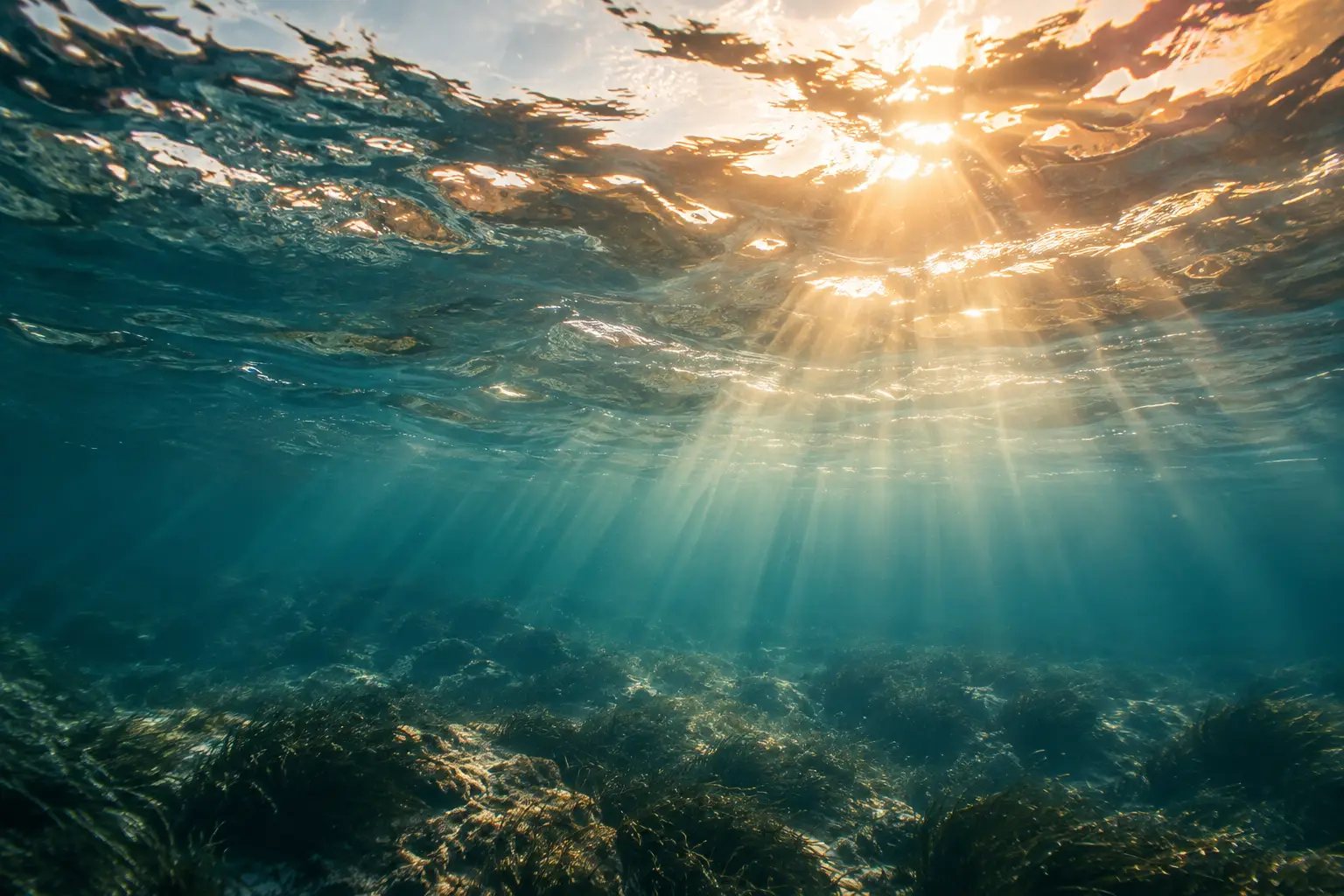 Blick von unter Wasser zur Oberfläche, Sonnenstrahlen fallen auf Seegraswiese am Meeresgrund